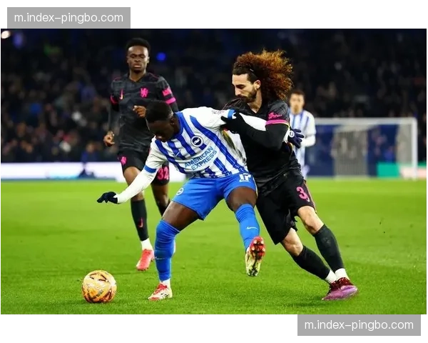 布莱顿进攻多点开花 五名不同球员参与进球创造